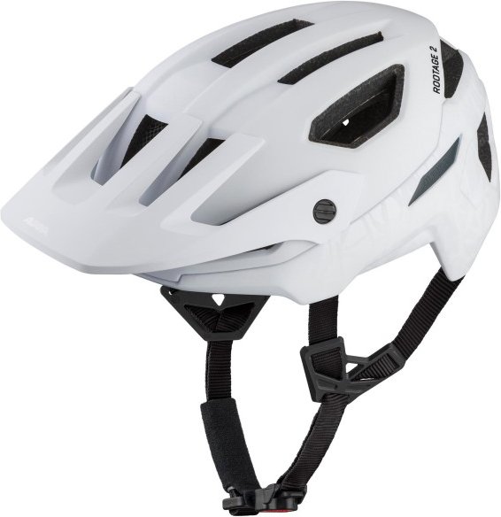 Alpina - Rootage 2 - Radhelm Gr 59-61 cm grau