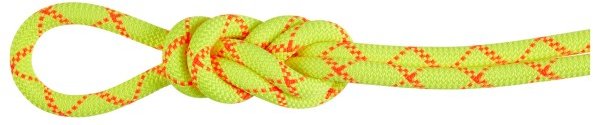 Mammut - 9.5 Alpine Core Protect Dry Rope - Einfachseil Gr 30 m gelb