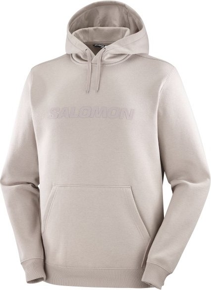 Salomon - Big Logo Hoodie - Hoodie Gr XXL grau