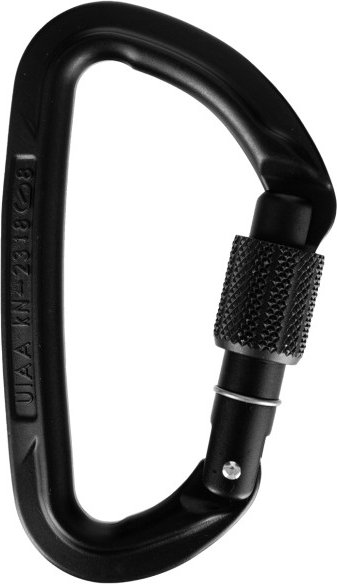 Wild Country - Session Screw Gate - Schraubkarabiner schwarz