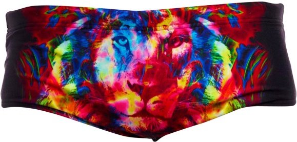 Funky Trunks - Sidewinder Trunks - Badehose Gr 4 bunt