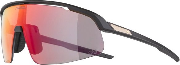 Alpina - Turbo Pro S QV Mirror Photochromic S1-3 - Fahrradbrille bunt