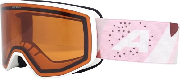 Alpina - Venet S2 (VLT 28%) - Skibrille bunt