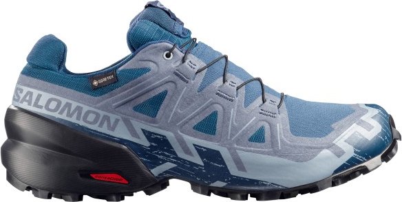 Salomon - Speedcross 6 GORE-TEX - Trailrunningschuhe Gr 42 2/3 grau