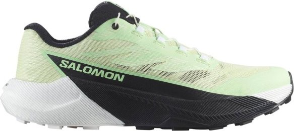 Thumbnail - Salomon - Women's Pulsar - Trailrunningschuhe Gr 40 2/3 grün