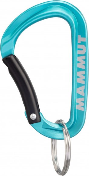 Thumbnail - Mammut - Mammut Mini Carabiner Classic - Materialkarabiner Gr Small türkis