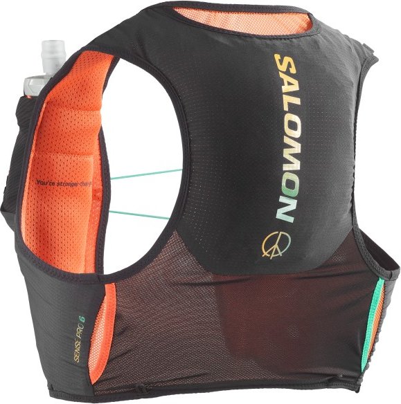 Salomon - Sense Pro 6 Limited Edition - Trailrunningrucksack Gr XL grau