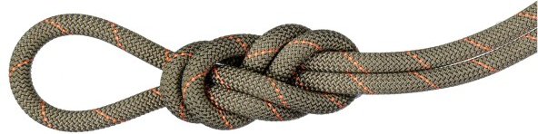 Mammut - 9.9 Gym Workhorse Classic Rope - Einfachseil Gr 30 m braun