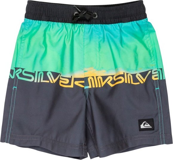 Quiksilver - Kid's Everyday Straight Volley Boy 12 - Boardshorts Gr 2 Years blau