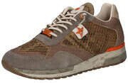 Cetti Sneaker Herren beige
