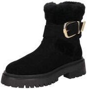 Steve Madden Stiefelette Damen schwarz