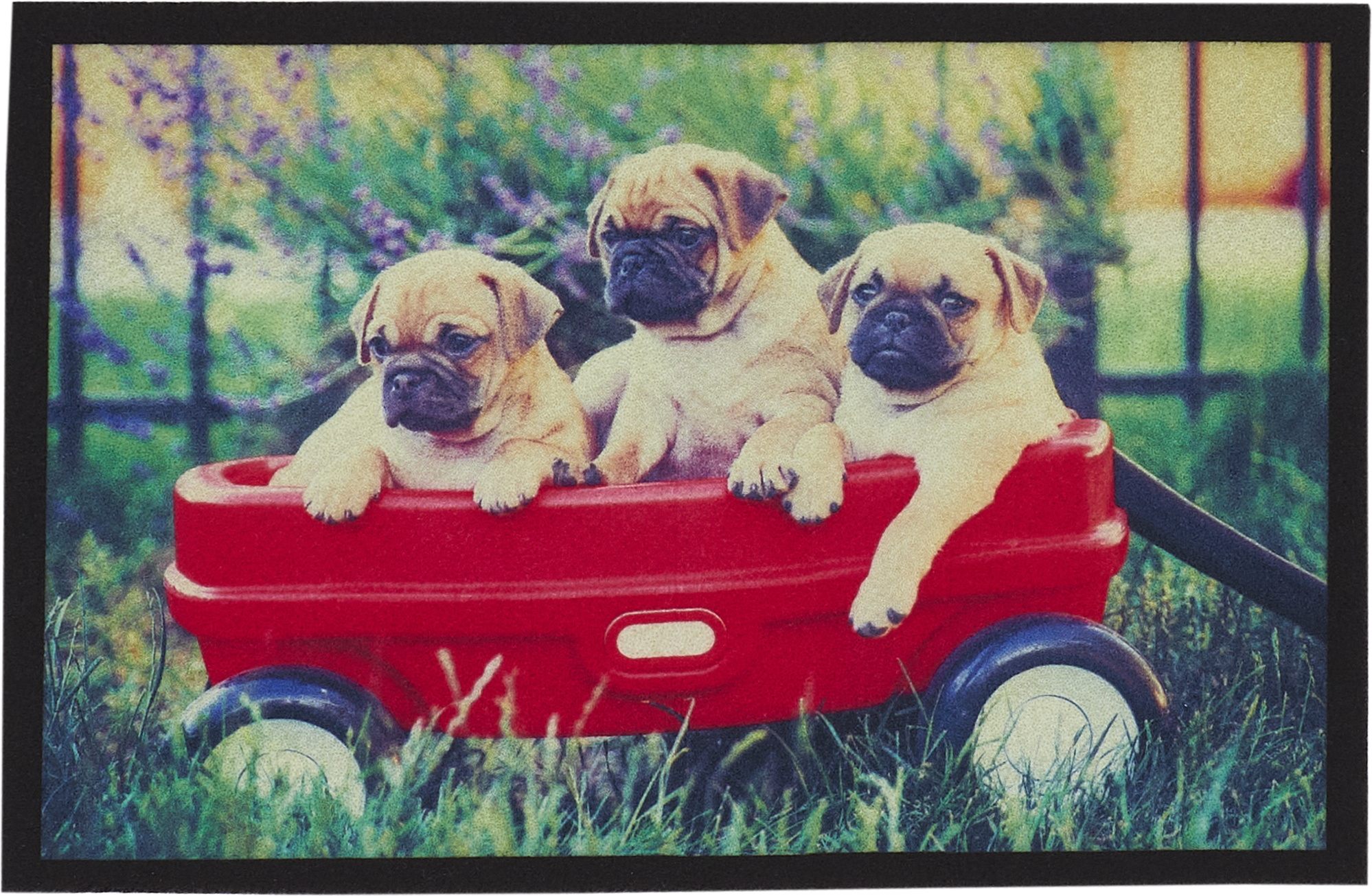 Fußmatte 'Orlando' Hunde 40 x 60 cm