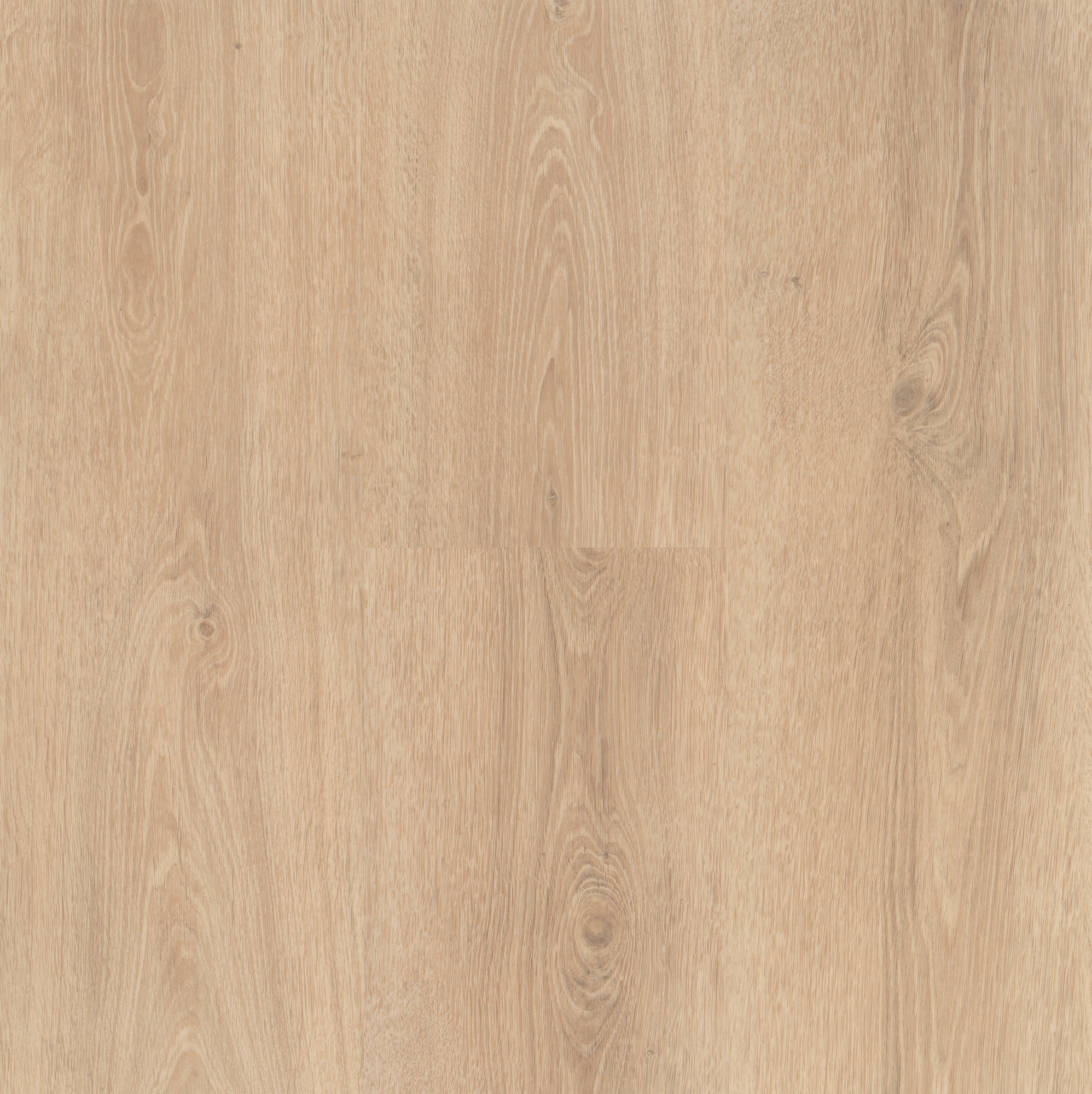 Parador Vinylboden 'Basic 30' Eiche Sereno geschliffen 9,4 mm