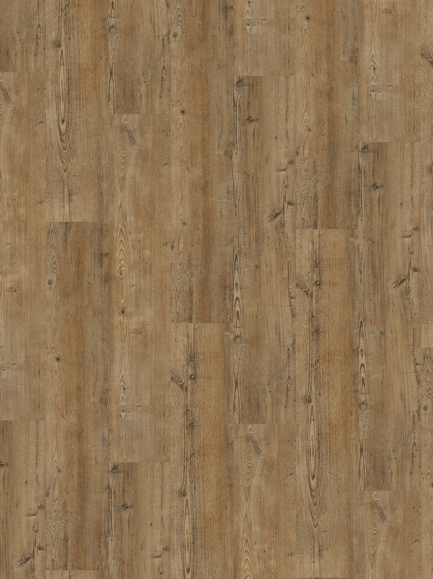 Parador Vinylboden 'Basic 30' Pinie Toscana Braun 9,4 mm