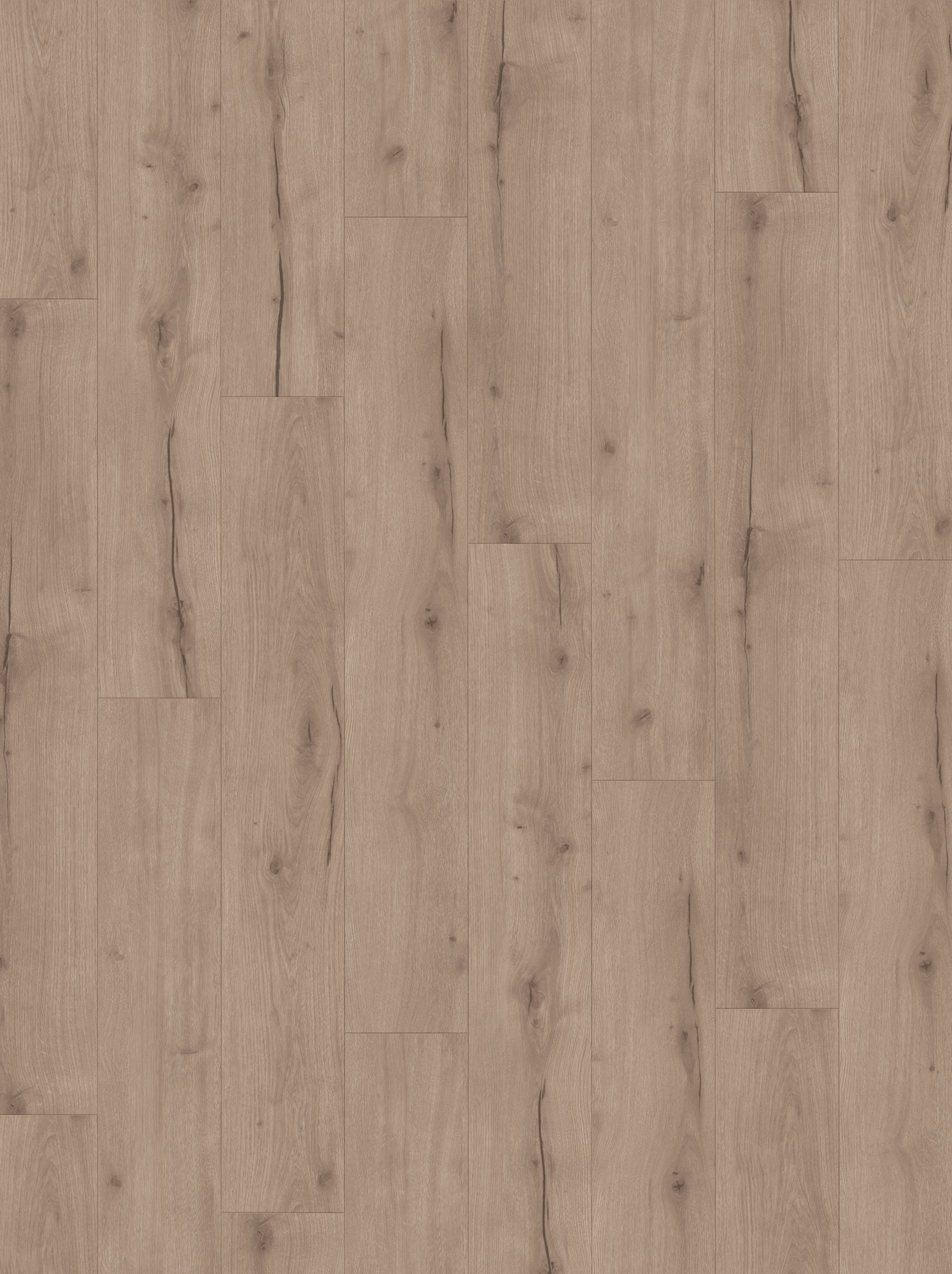 Thumbnail - Parador Designboden 'Modular ONE' Eiche Helios grau 8 mm