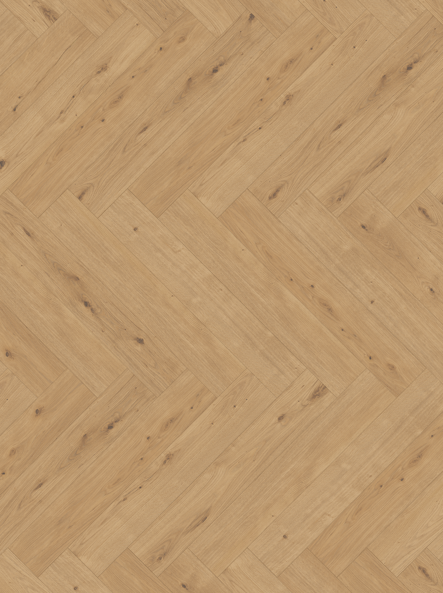 Parador Designboden 'Modular ONE' Eiche Atmosphere hellbraun 9 mm