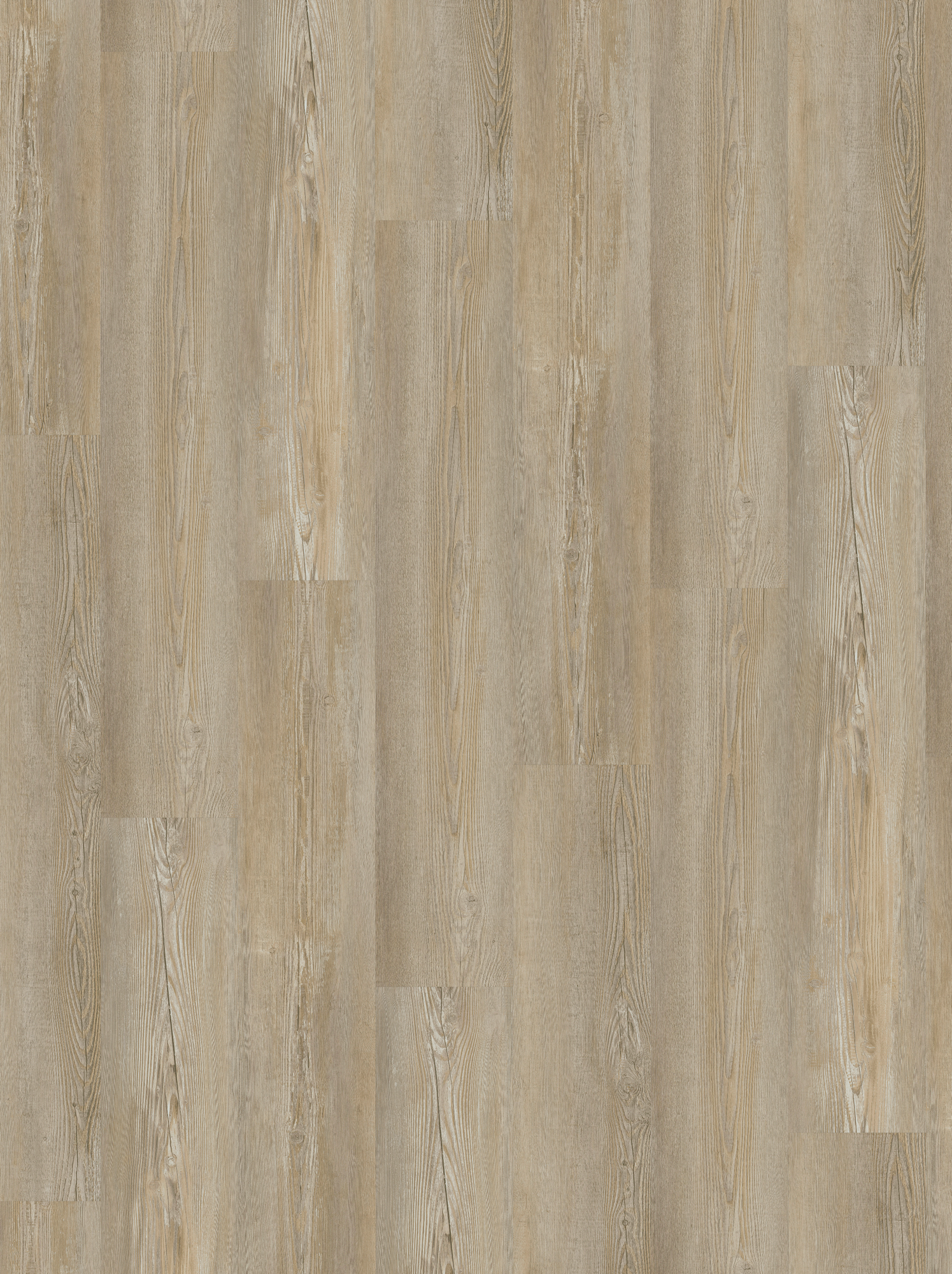 Parador Vinylboden 'Basic 30' Pinie Winter Hell 9,4 mm