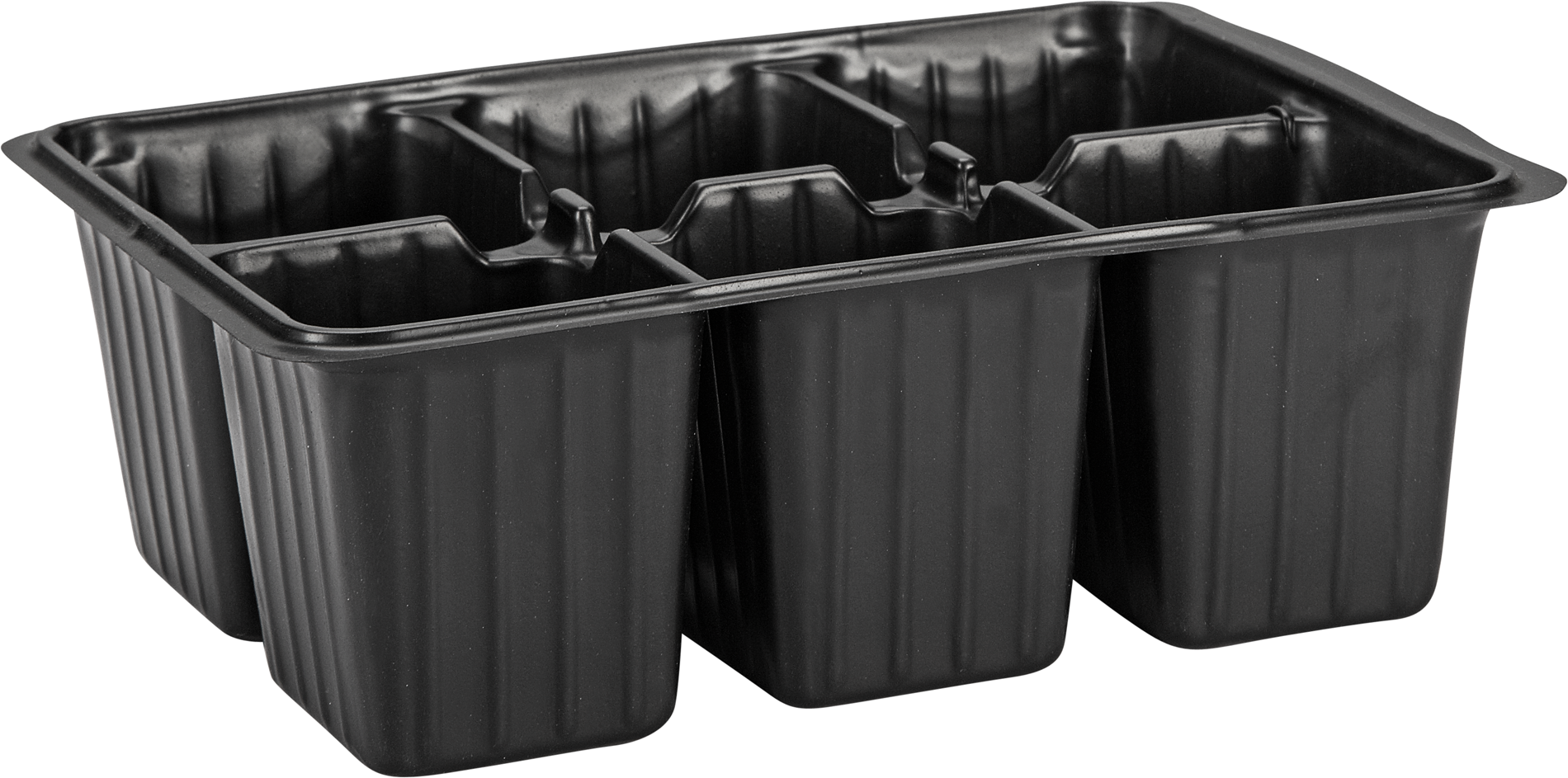 toom Anzuchtplatte 'Eli' 18 x 14 x 5,5 cm, 4 Stück