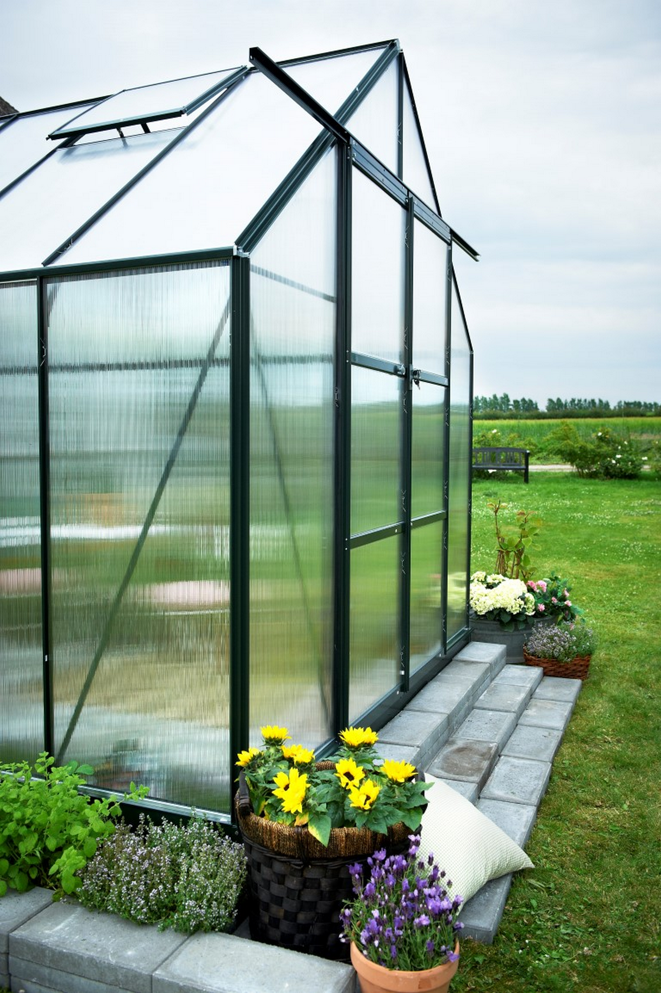 Thumbnail - Halls Gewächshaus 'Magnum 108' 257 x 322 cm mit 6 mm Doppelstegplatten grün