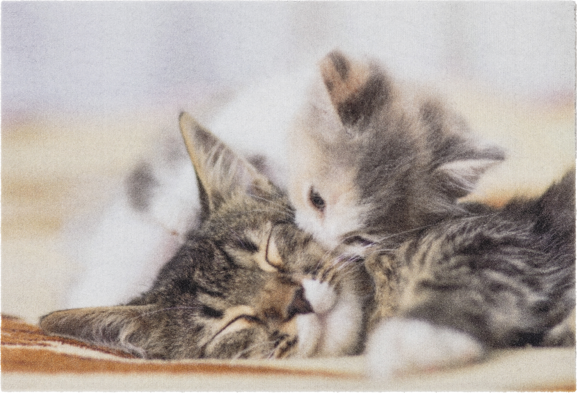 Astra Sauberlaufmatte 'Deco Print' 40 x 60 cm Kitten braun