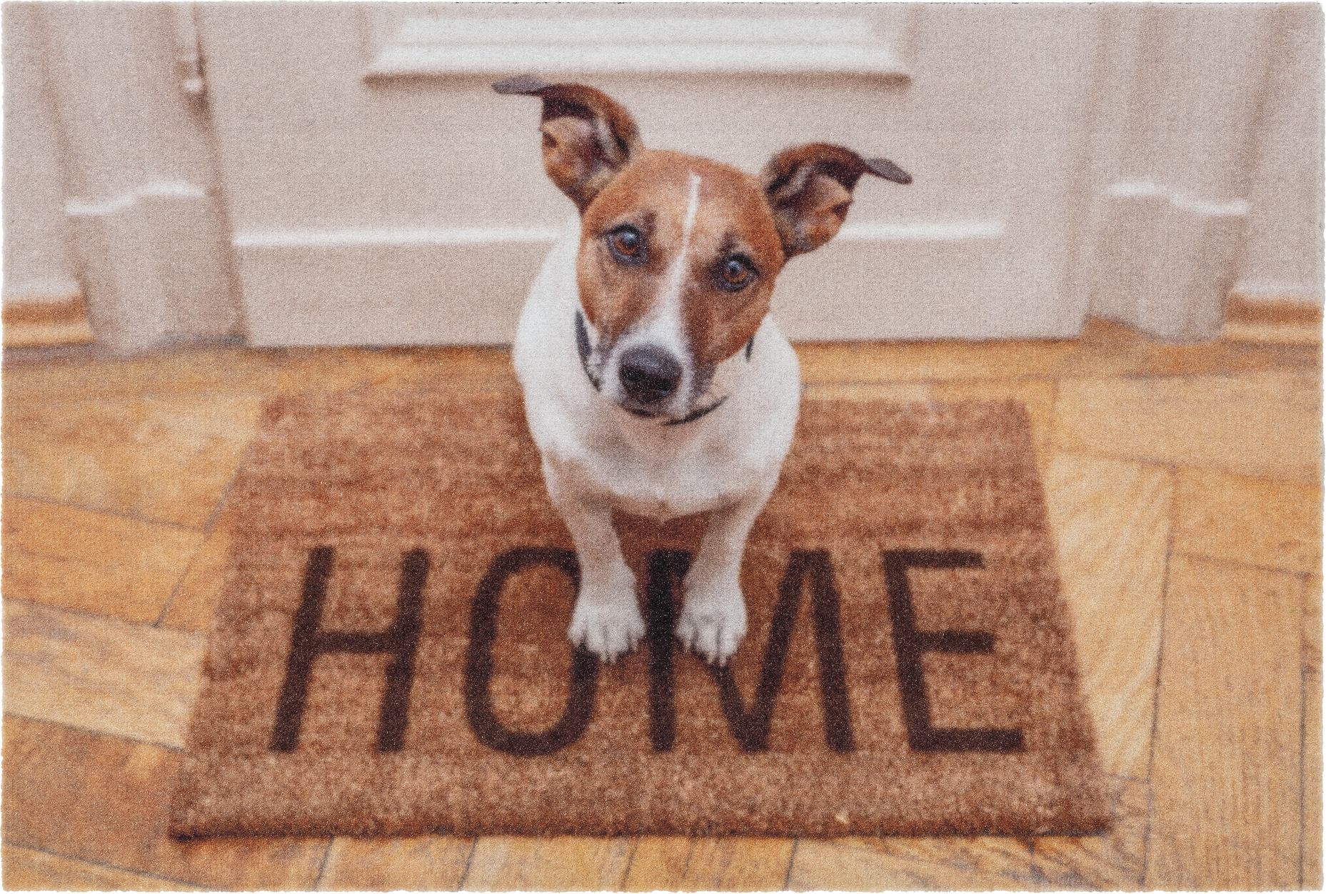 Astra Sauberlaufmatte 'Deco Print' 40 x 60 cm Hund Home braun