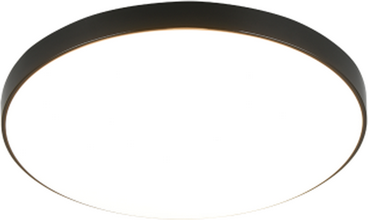 Reality Leuchten LED-Deckenleuchte 'Spica' schwarz 18 W Ø 27 cm