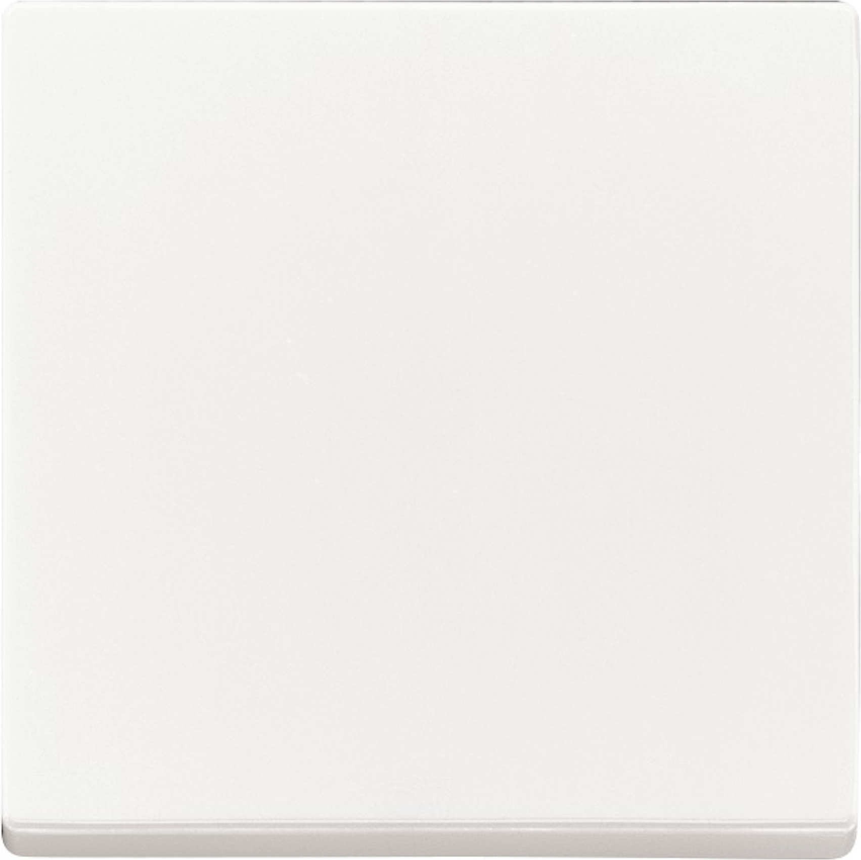 Busch-Jäger Schalterwippe 'Future Linear' studioweiß