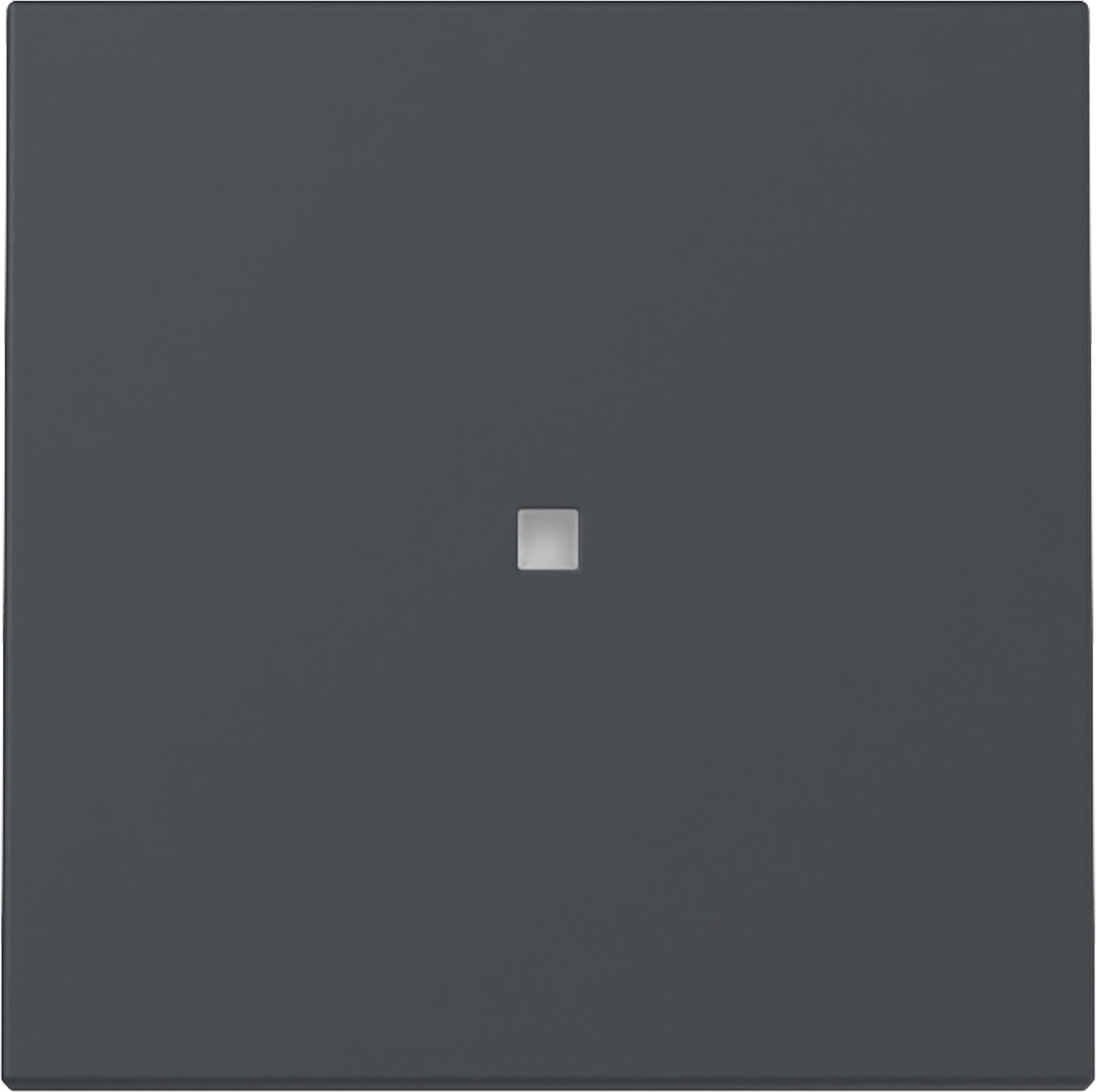 GIRA Kontrollwippe 'System 55' mit Fenster anthrazit