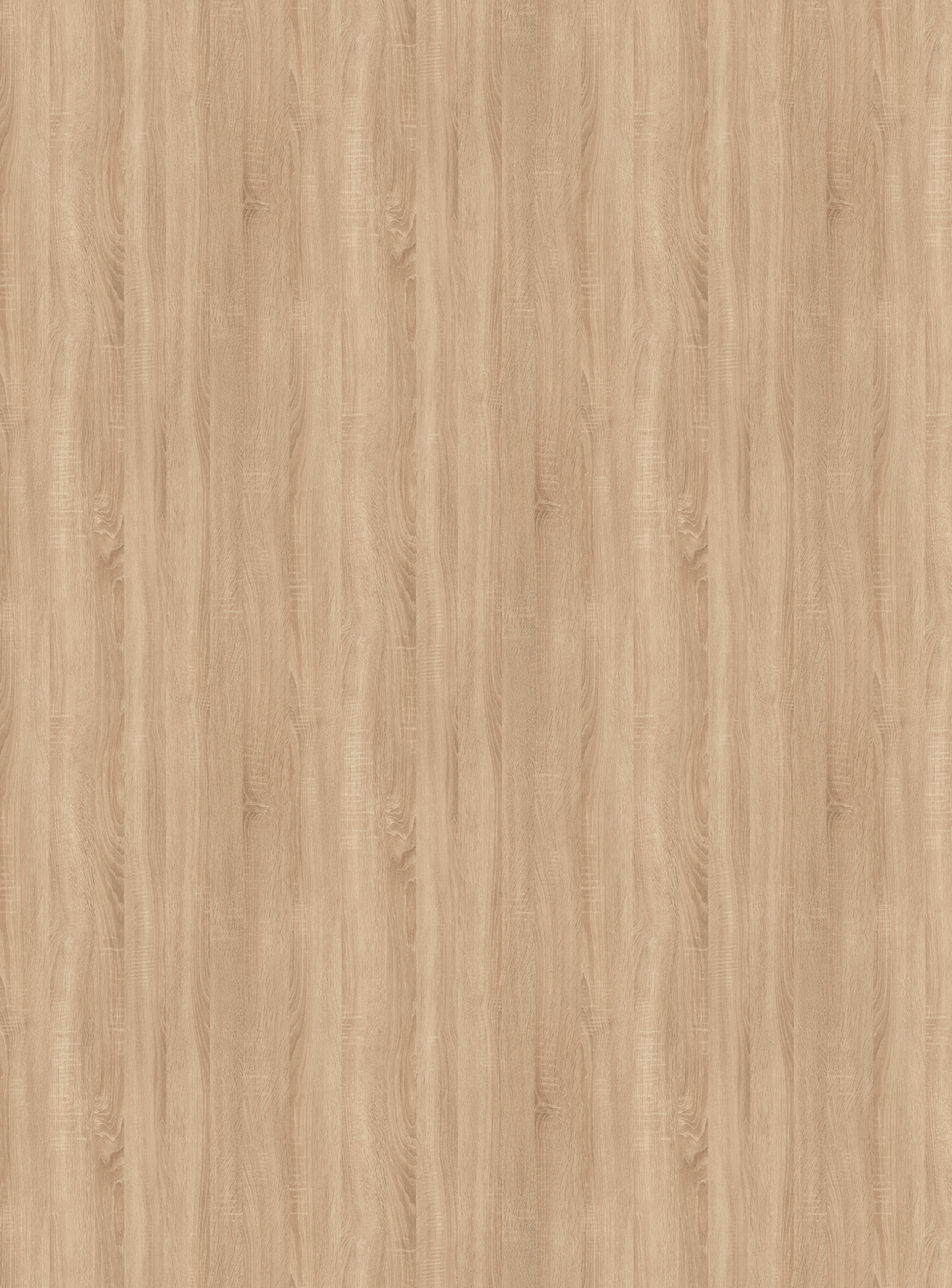 Arbeitsplatte 'Eiche Sonoma Hell 34038' natur 2600 x 600 x 28 mm