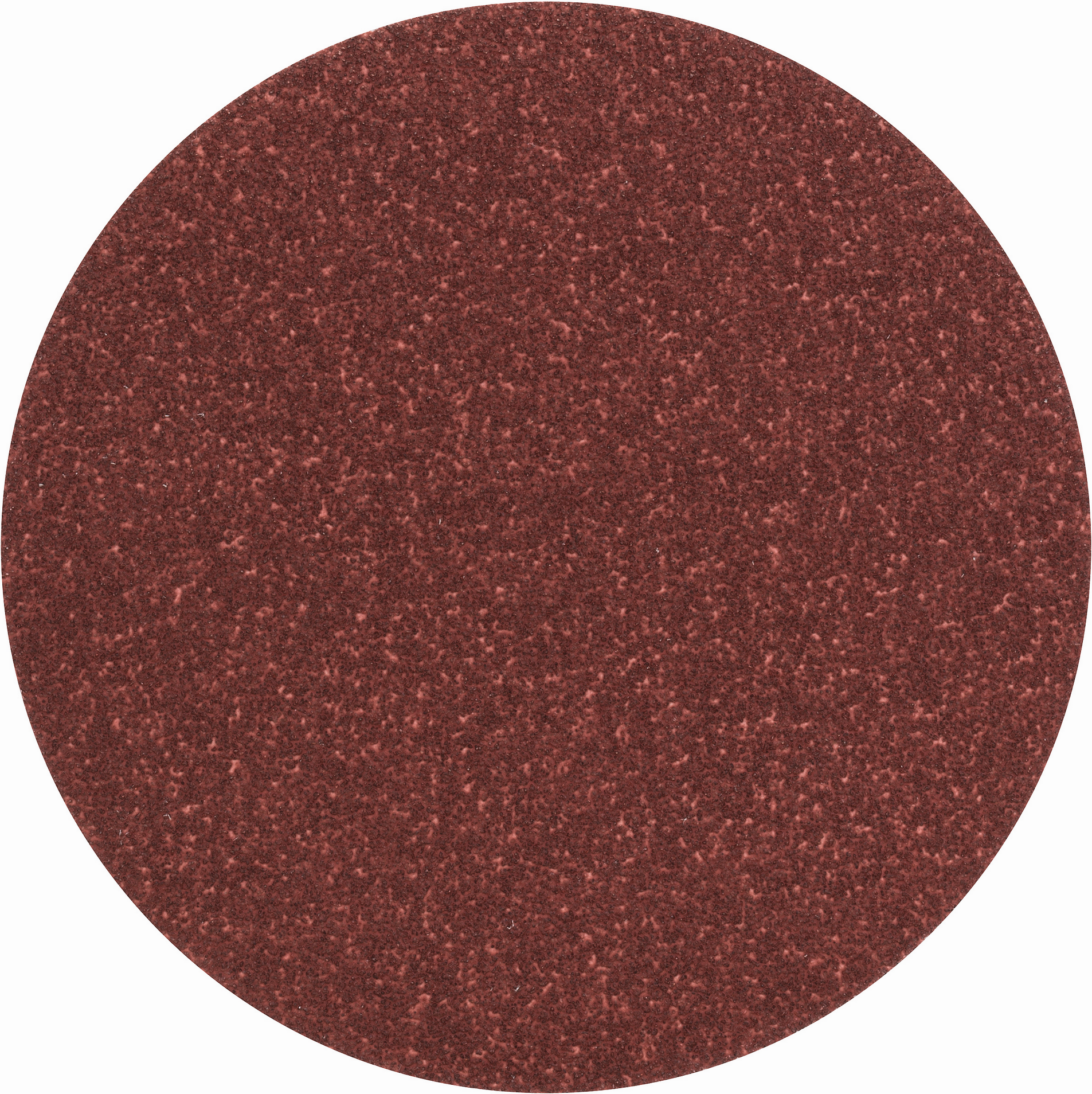 Bosch Schleifblatt-Set ungelocht Ø 12,5 cm G80 5 Stück