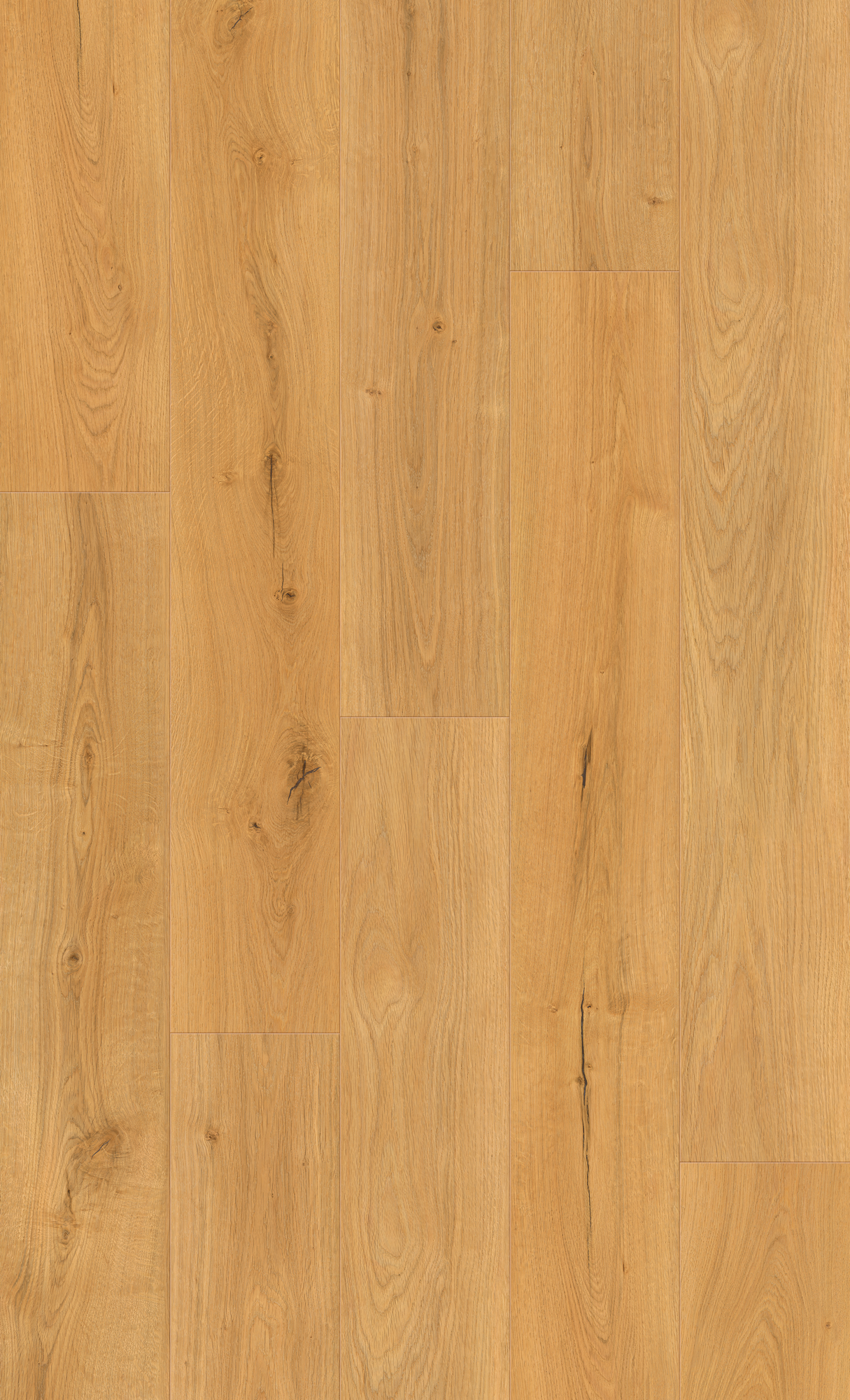 Vinylboden 'Eiche Oxford' eichefarben 3,5 mm