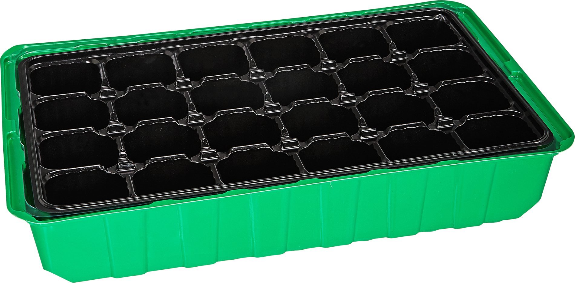 toom Anzuchtplatte mit 24 Töpfen Kunststoff 36 x 22 x 13 cm
