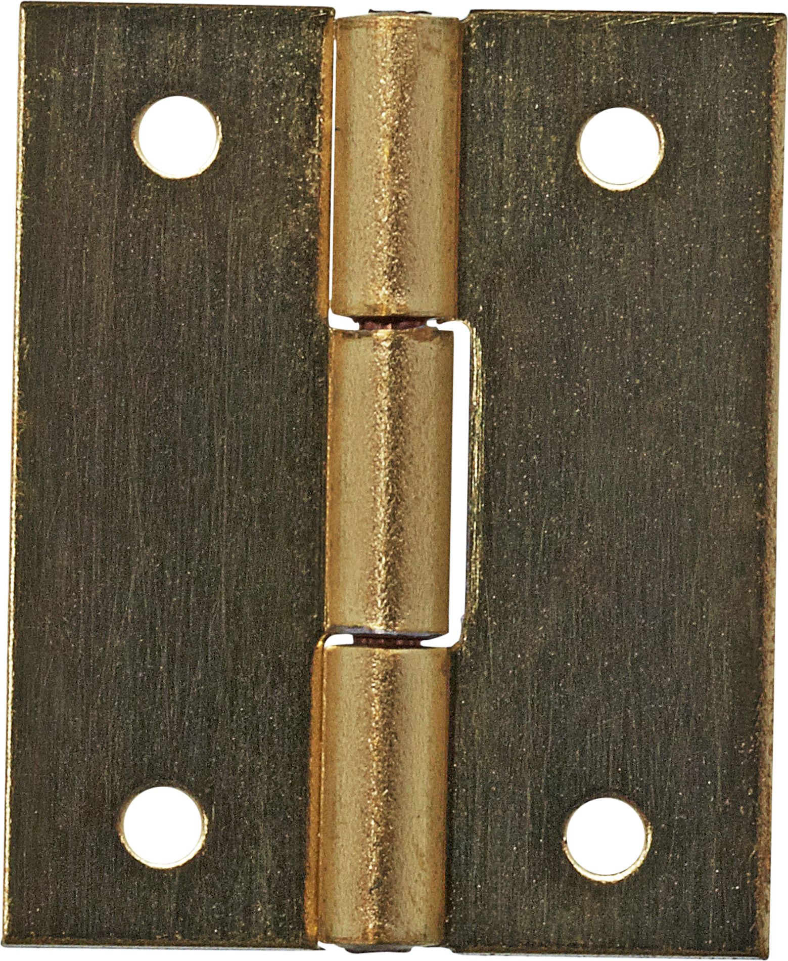 toom Schatullenscharniere 1,6 x 1,2 cm 4 Stück