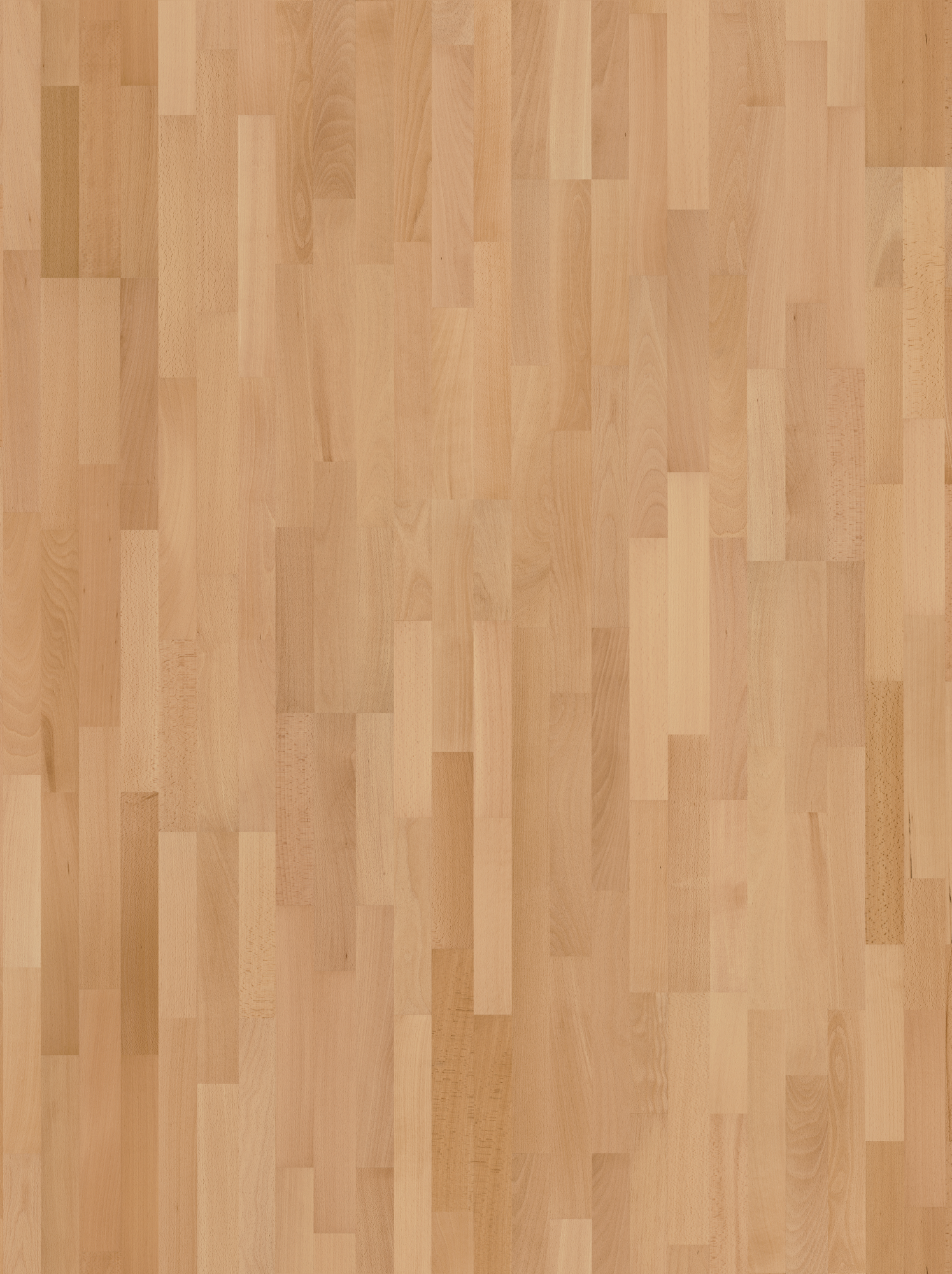 Parador Parkett 'Basic 11-5' Buche Natur lackversiegelt matt 11,5 mm