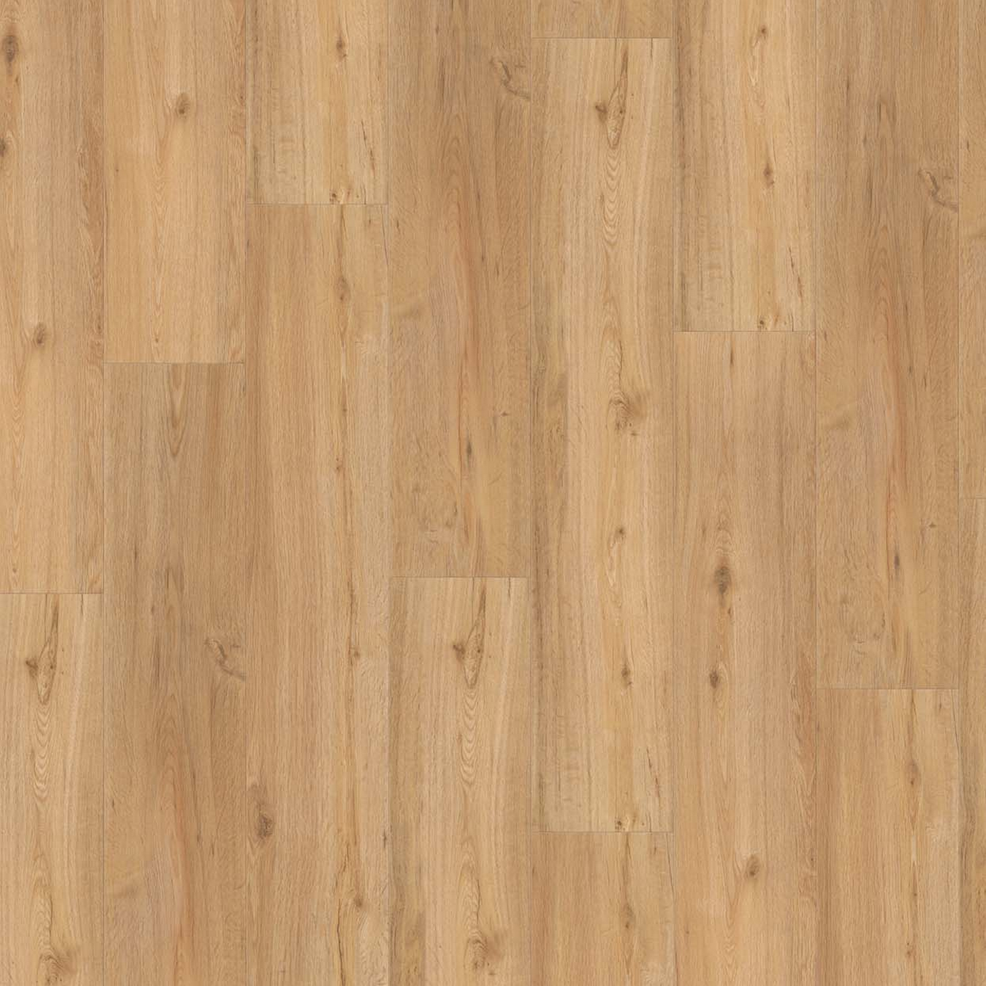 Parador Vinylboden 'Basic 5.3' Eiche Natur braun 5,3 mm