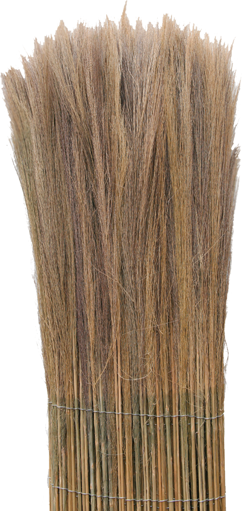 Videx Sichtschutz-Farnmatte 300 x 100 cm