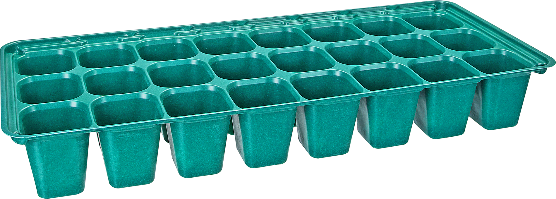 toom Anzuchtplatte 'Lea' Kunststoff 56 x 22 x 8 cm