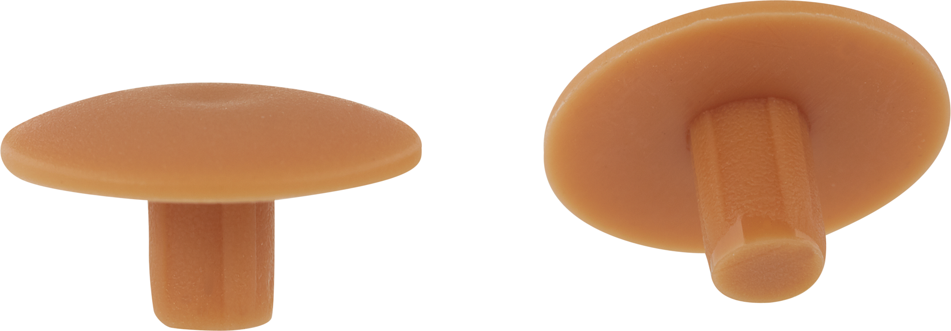 toom Abdeckkappen Kunststoff buchefarben Ø 4 mm 20 Stück