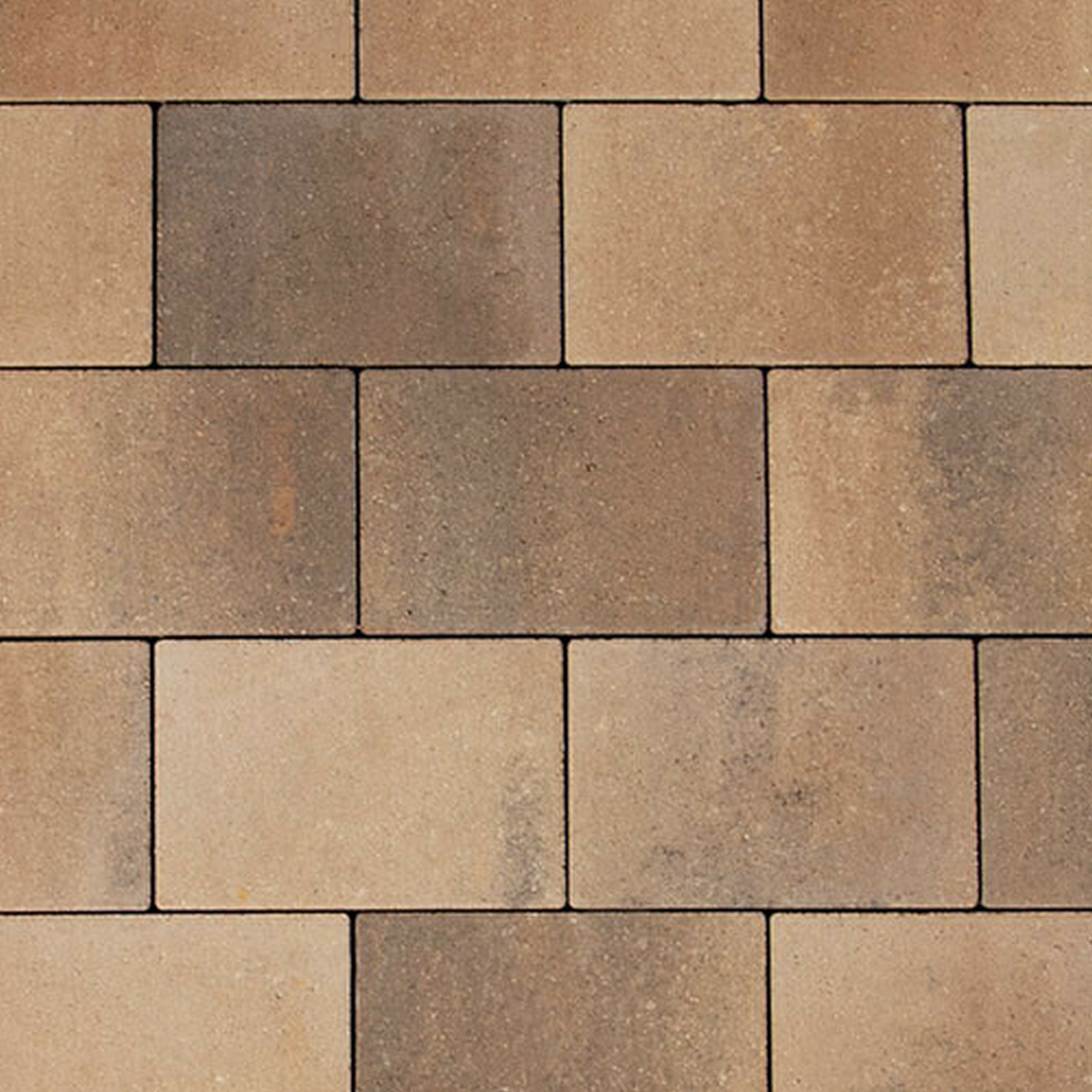 EHL Pflasterstein 'Veria' muschelfarben 30 x 20 x 6 cm