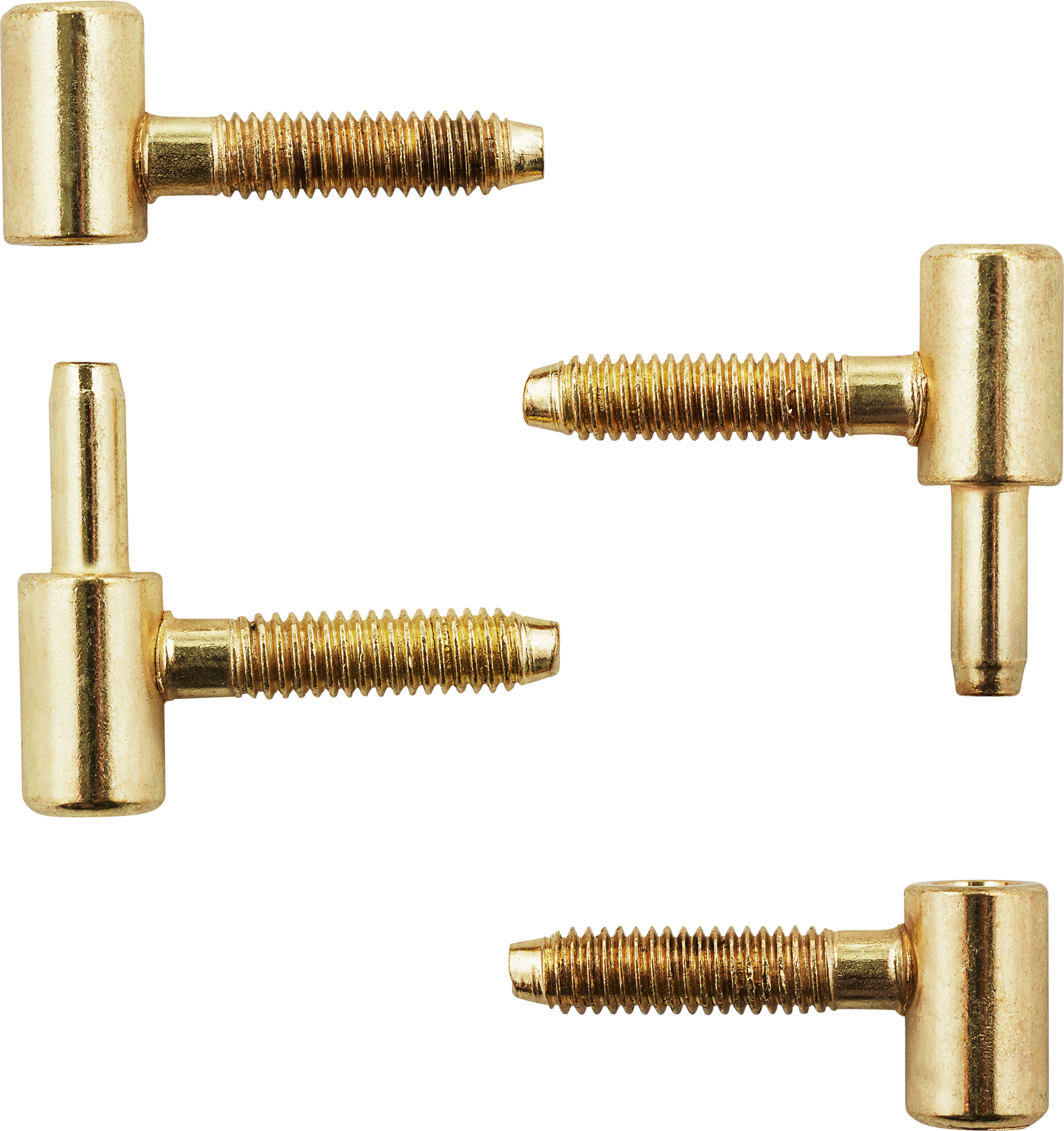 toom Einbohrbänder vermessingt 2x Ober- und Unterteil Ø 9 mm