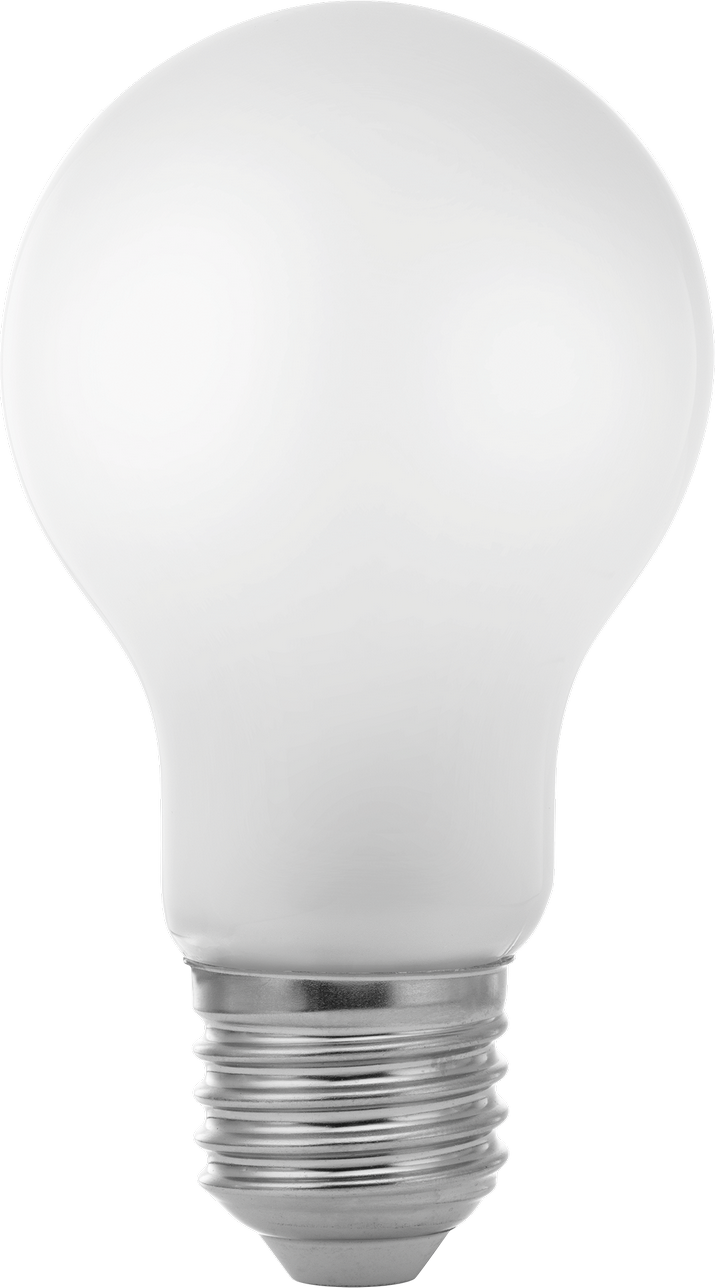 toom LED-Leuchtmittel matt 2 W 1521 lm