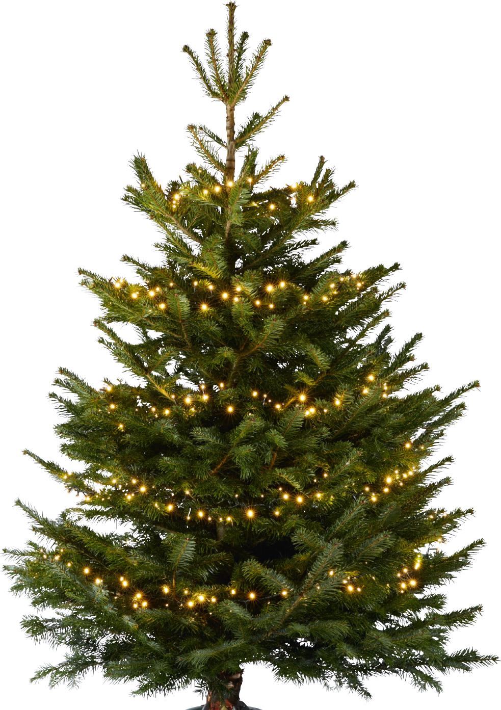 toom LED-Baummantel-Lichterkette 500 LEDs warmweiß 6 Stränge 150 cm