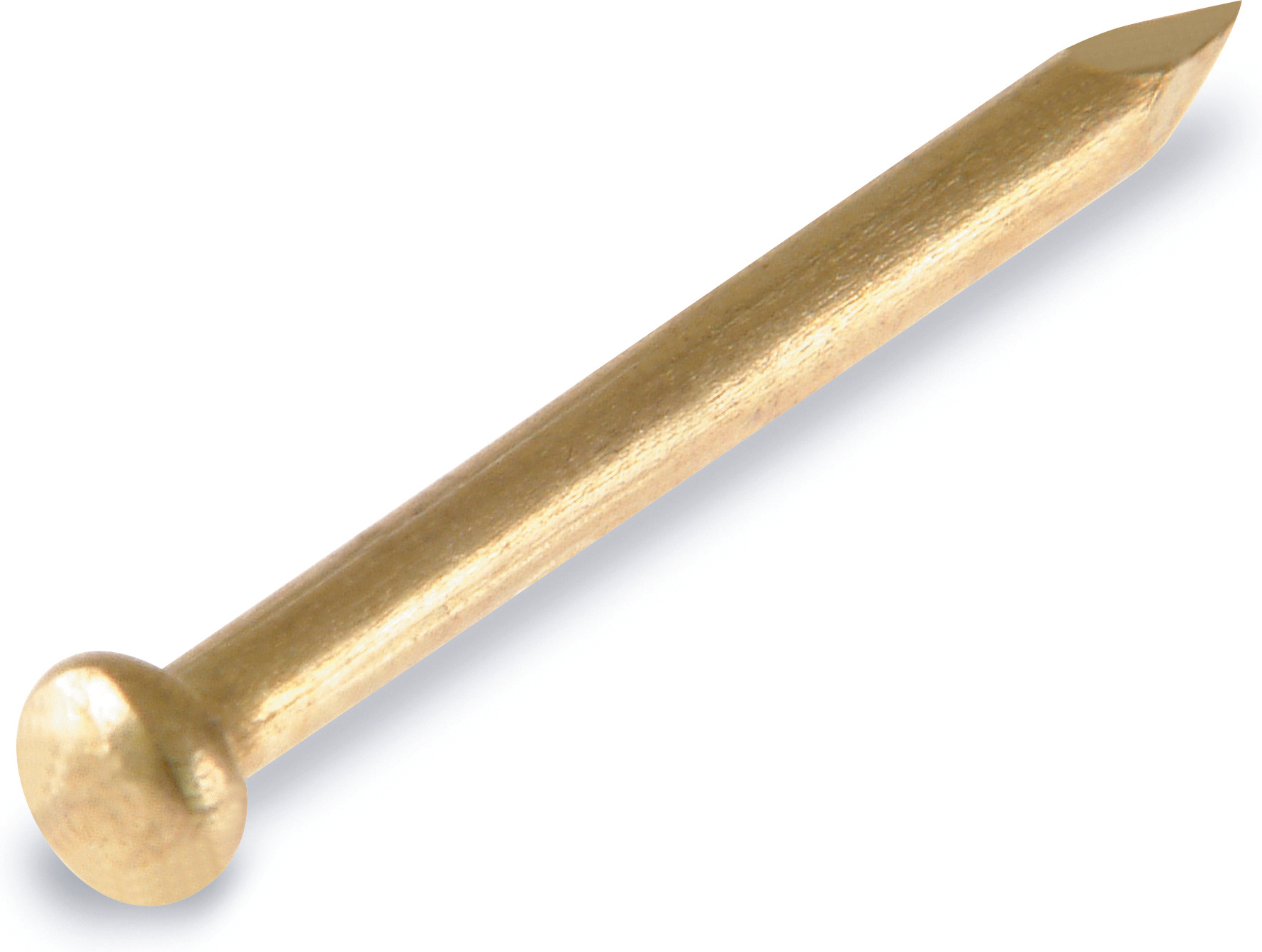 Thumbnail - toom Rundkopfstifte vermessingt Ø 0,2 x 2 cm