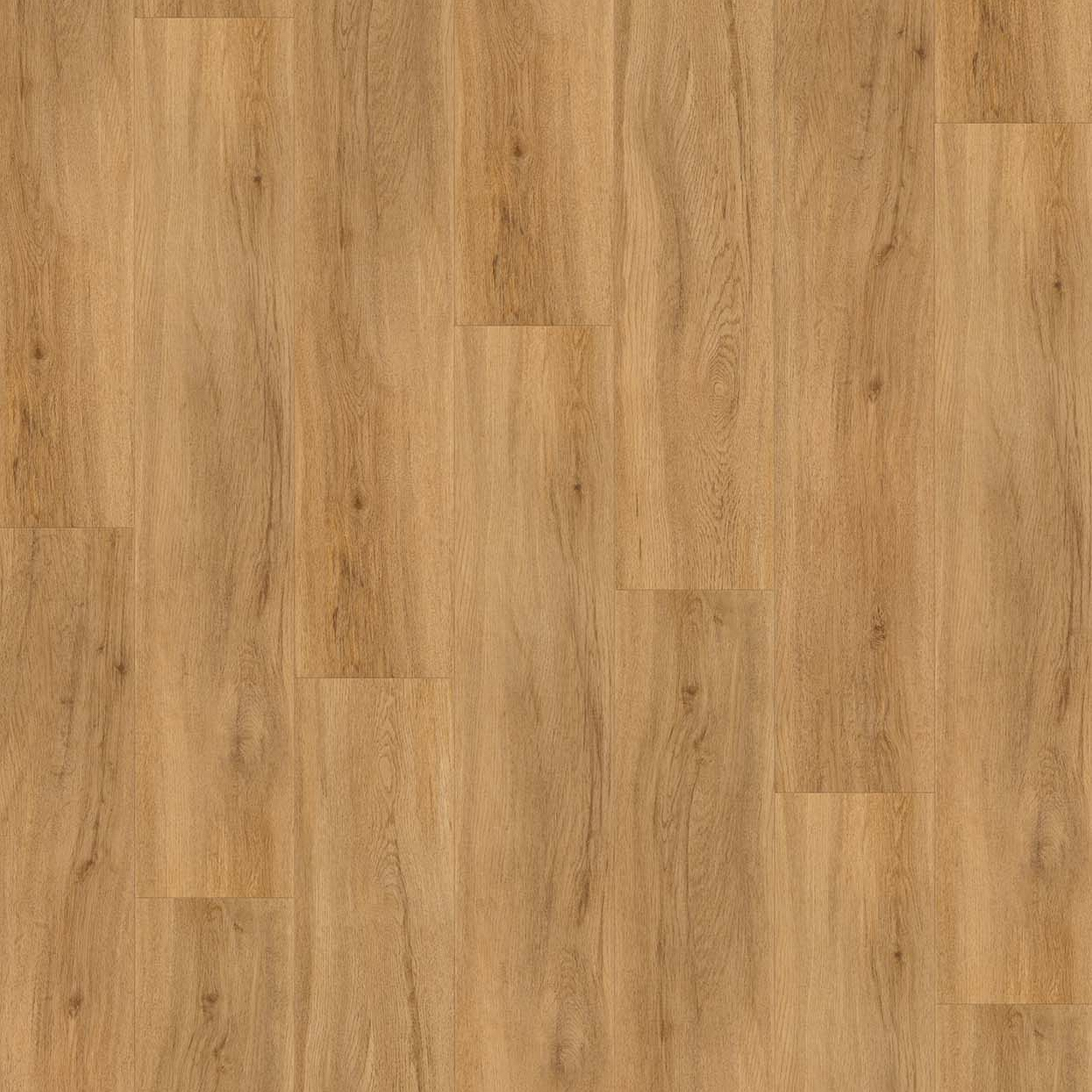 Parador Vinylboden 'Basic 5.3' Eiche Sierra Natur braun 5,3 mm