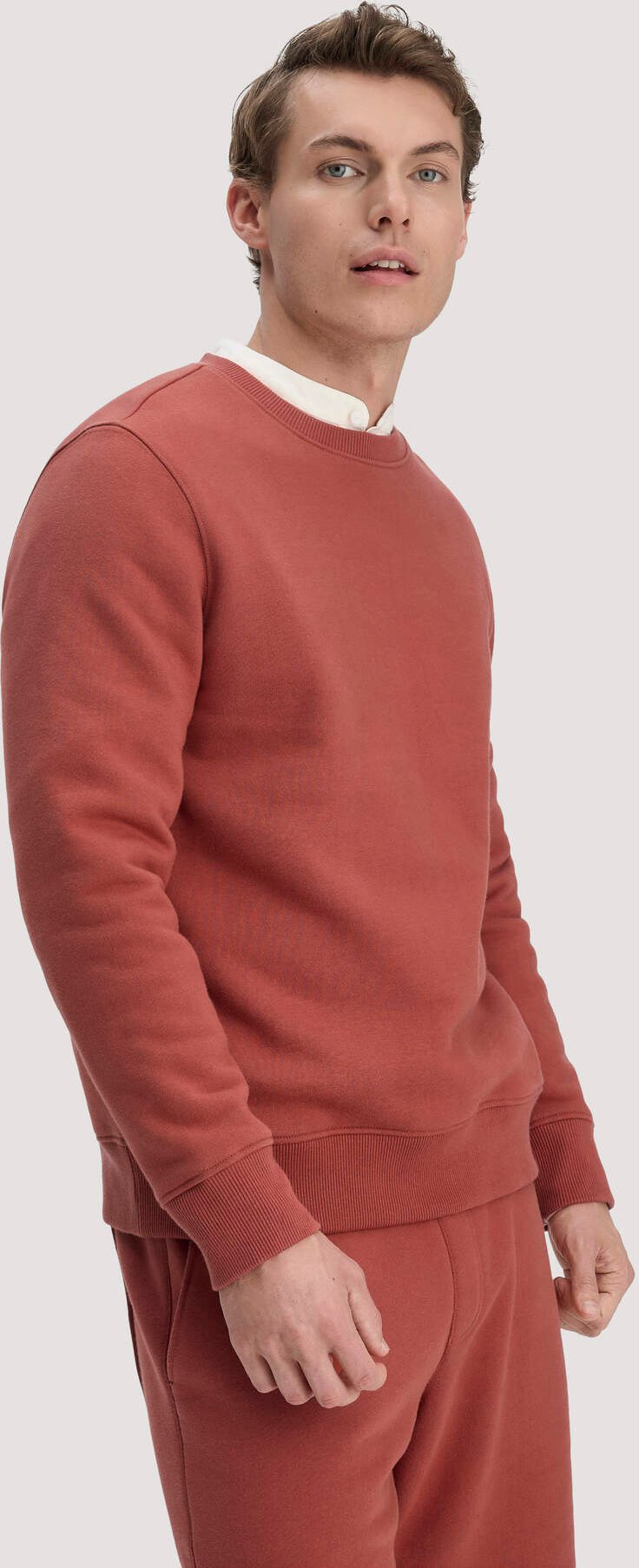 hessnatur Herren Sweatshirt Regular BETTERRECYCLING aus Bio-Baumwolle - braun - Größe L