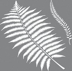 Rayher Dekor-Schablone Botanic grau