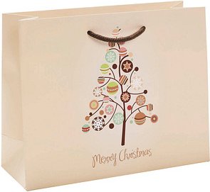 VP Geschenktüten Topline Motiv 22,0 x 18,0 cm, 100 St.