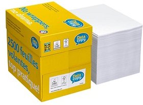 Data copy Kopierpapier Everyday Printing DIN A4 80 g/qm 2.500 Blatt Maxi-Box