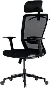 FlexiSpot Bürostuhl BS3 Stoff schwarz, Gestell schwarz