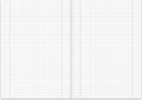 Staufen® Kanzleipapier STYLE 80 g/qm kariert